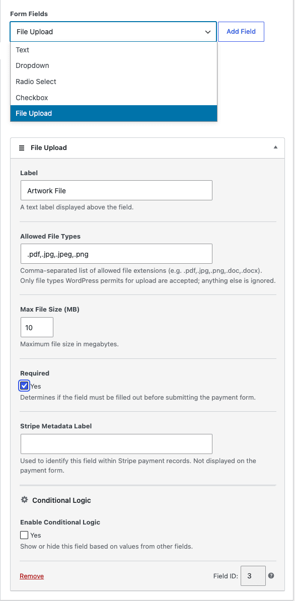The File Upload field settings in the form builder showing allowed file types, max file size, and the required toggle, dropdown open