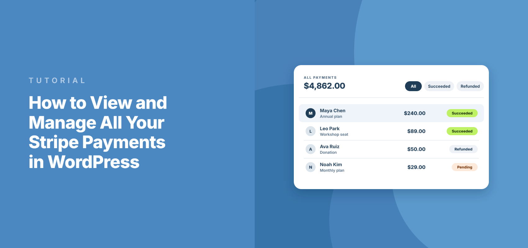 How to view and manage all your Stripe payments in WordPress